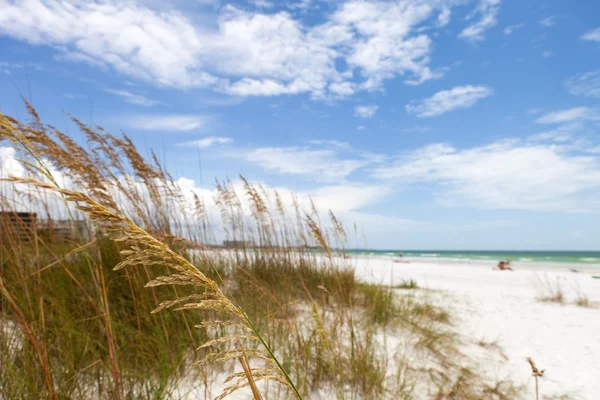 Siesta Schlüsselstrand sarasota florida — Stockfoto