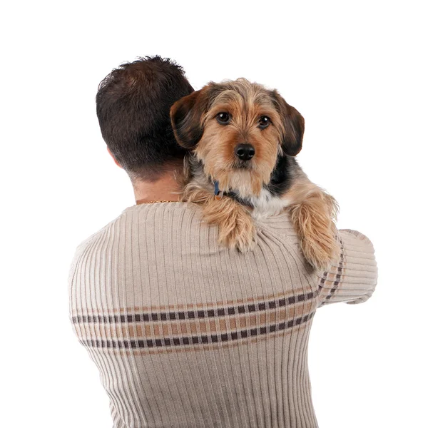 Άνθρωπος που κρατά ένα σκυλί borkie — Φωτογραφία Αρχείου