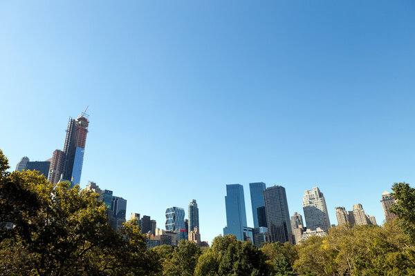 A view of the trees and New York City skyline from Central Park near midtown Manhattan.