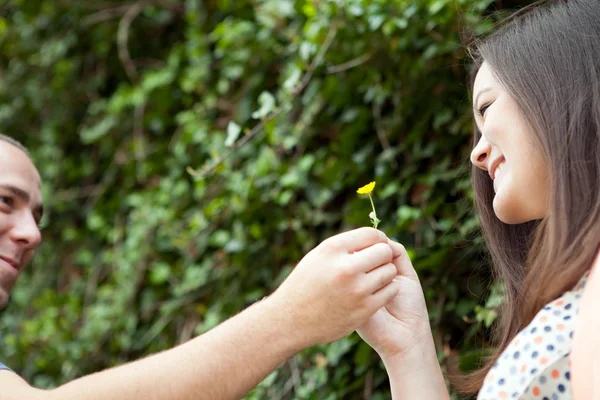 男は彼の妻に花を与える — ストック写真