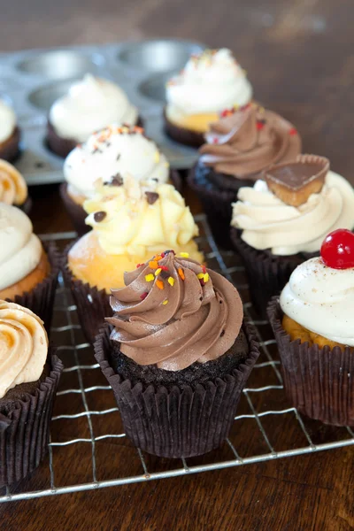 Tasty Cupcakes — Stock Photo, Image