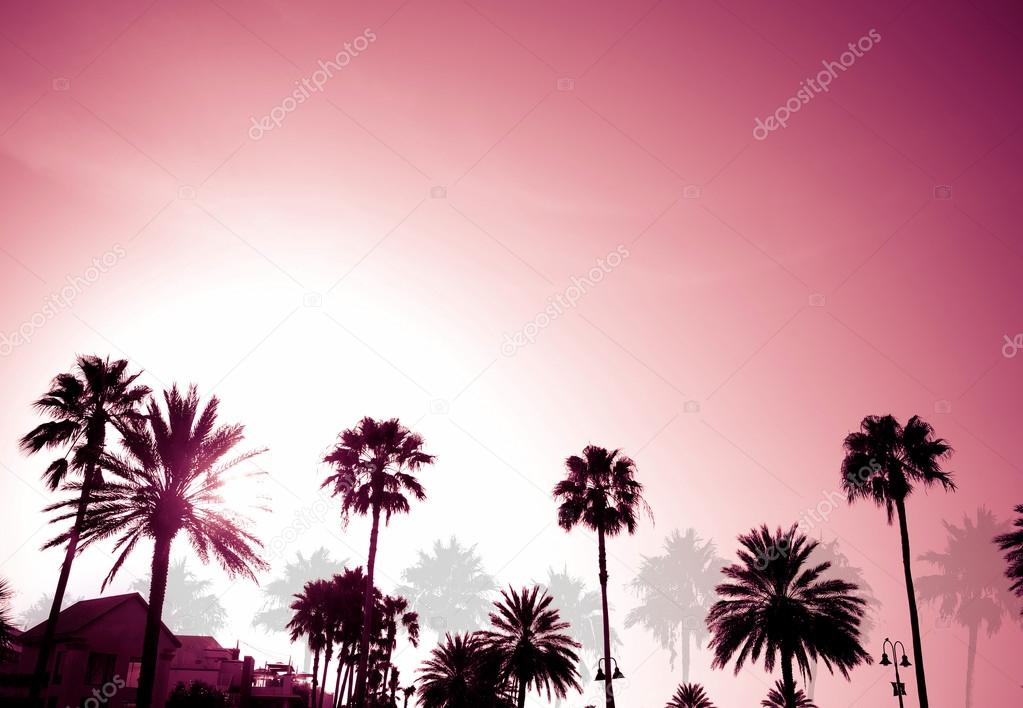 Palm Trees Sunset Retro