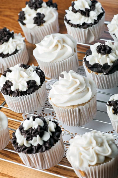 Iced Gourmet Cup Cakes — Stock Photo, Image