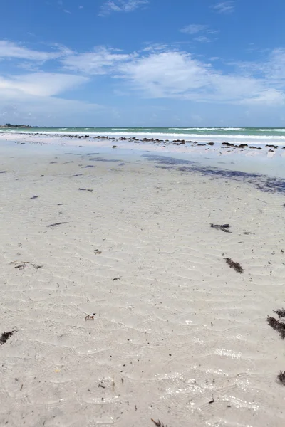 Siesta key pláž sarasota florida — Stock fotografie