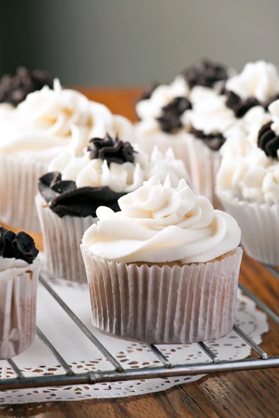 Delicious Gourmet Cupcakes — Stock Photo, Image