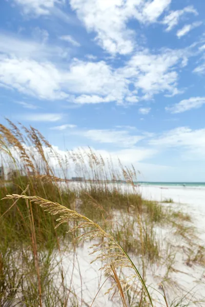 Siesta Key Florida — Stockfoto