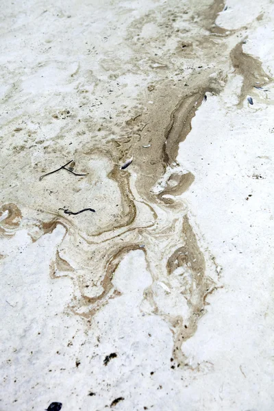 Giftiga olja spill washup — Stockfoto