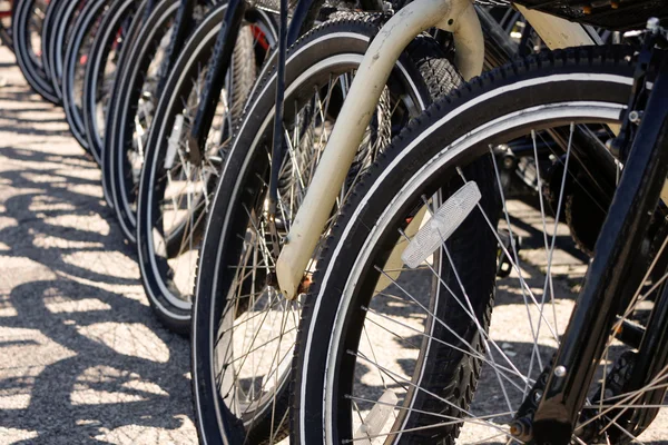 Fila de neumáticos de bicicleta —  Fotos de Stock