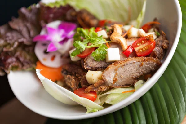 Thaise salade met knapperige eend — Stockfoto