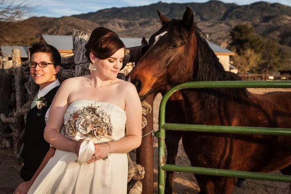 Sposa lesbica con partner e cavallo — Foto Stock