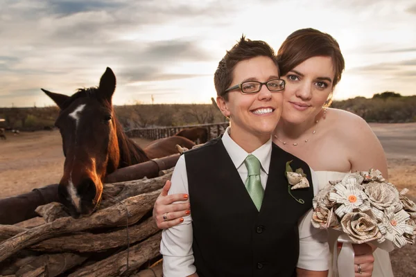 Same Sex Newlyweds with Horse — Stock Photo, Image