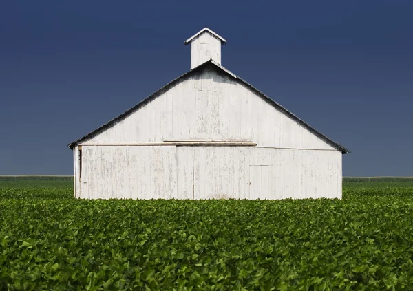 Prédios agrícolas — Fotografia de Stock