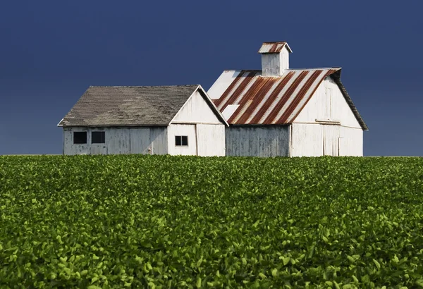 Фермерские здания — стоковое фото