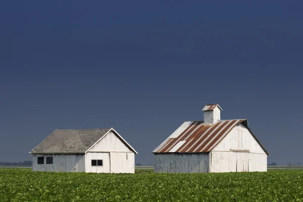 Agrarische gebouwen — Stockfoto