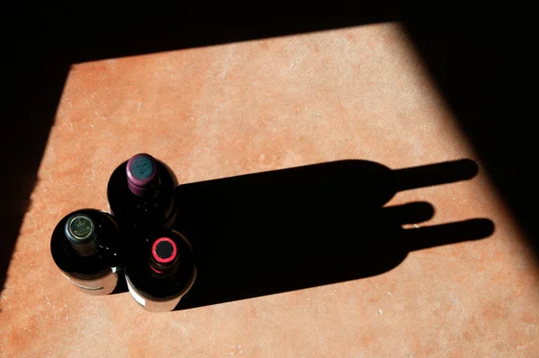 Wine Bottles with Dramatic Shadow — Stock Photo, Image