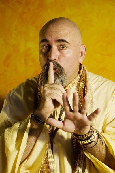 Funny Guru — Stock Photo, Image