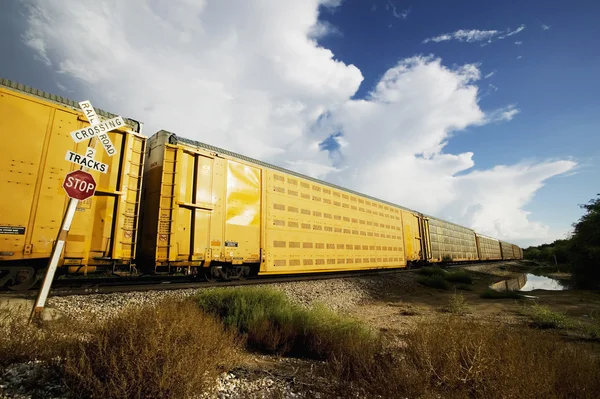 Train au passage à niveau — Photo