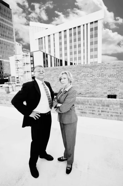 Roof portrait — Stock Photo, Image