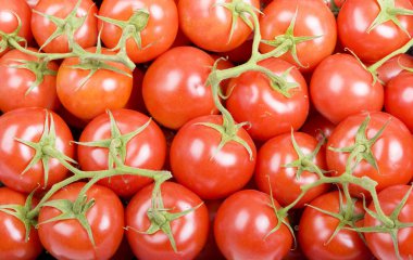 çeri domatesler
