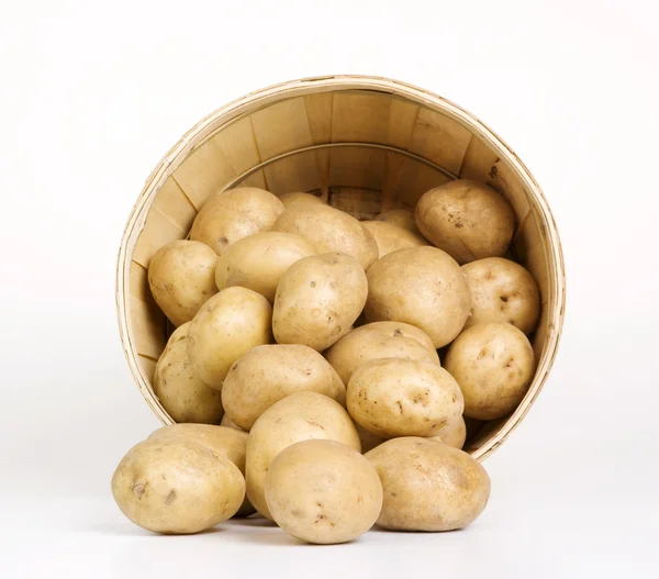 Potato Basket — Zdjęcie stockowe