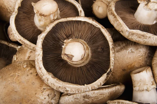 Portobello Mushrooms — Stock Photo, Image
