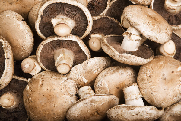Portobello Mushrooms