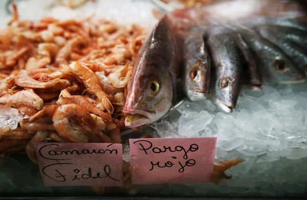 Peixe no gelo num mercado — Fotografia de Stock