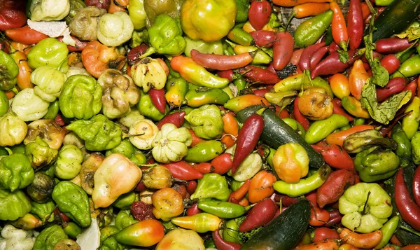 Jihoamerické papriky — Stock fotografie