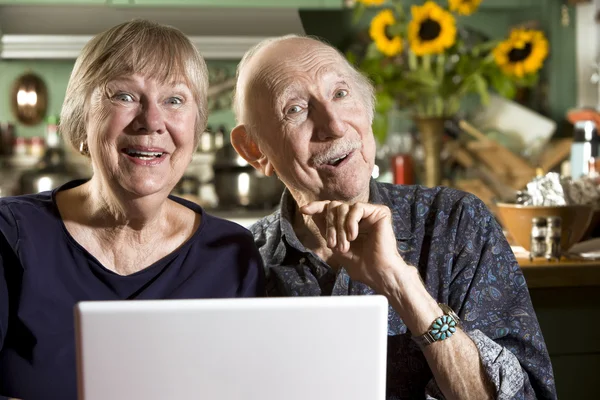 Sorrindo casal sênior com um computador portátil — Fotografia de Stock