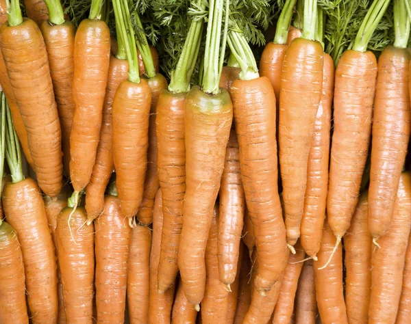 Яскраві помаранчеві морква — стокове фото