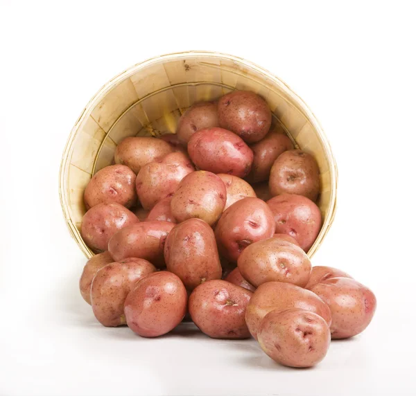 Patatas rojas —  Fotos de Stock