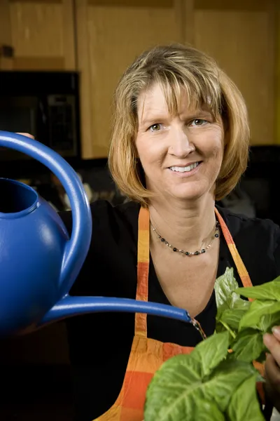 Mulher na cozinha rega uma planta — Fotografia de Stock