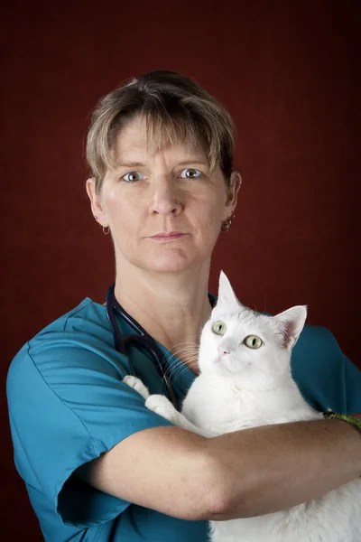 Veterinario con gato — Foto de Stock