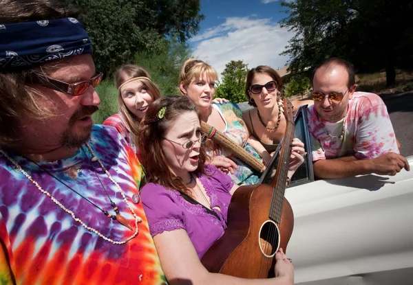 Groovy group with female Singer — Stock Photo, Image