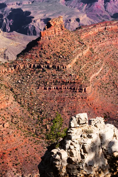 Grand Canyon Detalhe — Fotografia de Stock