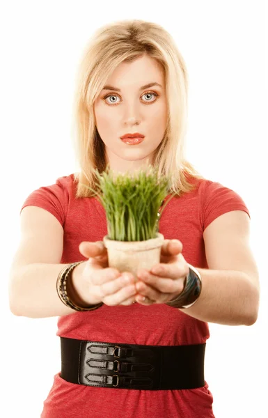 Docela blonďatá žena s trávy v malém hrnci — Stock fotografie