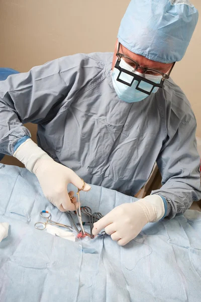 Veterinario realizando operación de esterilización en perro — Foto de Stock