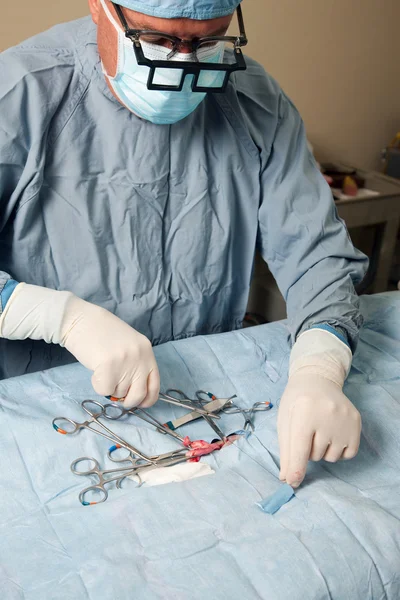 Veterinario realizando operación de esterilización en perro — Foto de Stock