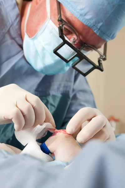 Veterinární lékař dělá operaci kolena na malého psa — Stock fotografie