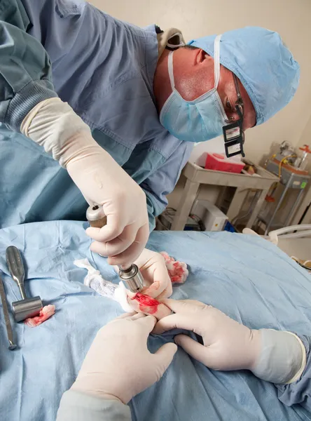 Veterinario haciendo cirugía de rodilla en perro pequeño — Foto de Stock