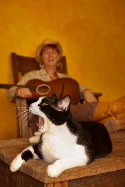 Mulher muito ocidental com guitarra e gato — Fotografia de Stock