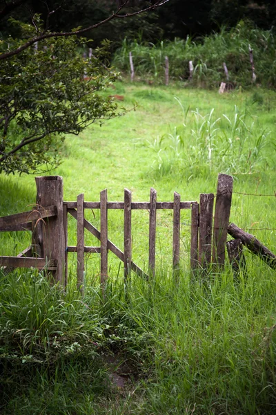 Natursköna gate i costa rica — Stockfoto