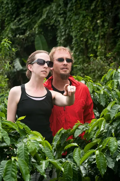 Casal americano e europeu em plantação de café na Costa Rica — Fotografia de Stock