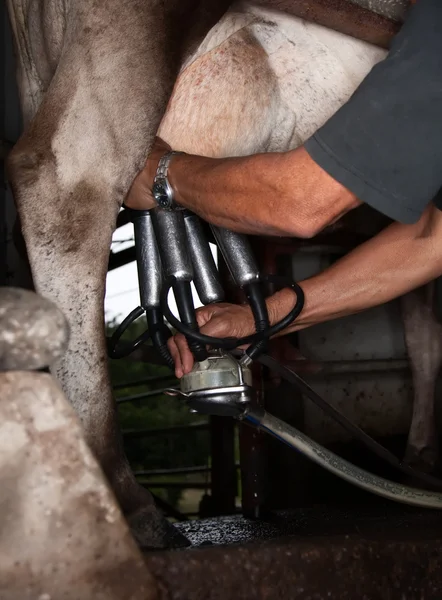 Milking Machine — Stock Photo, Image