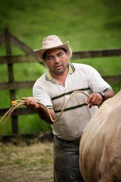 Frumos de sex masculin fermă mână în Costa Rica — Fotografie, imagine de stoc