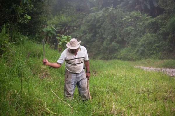 Costa Rican ranch hand — Stock Photo, Image