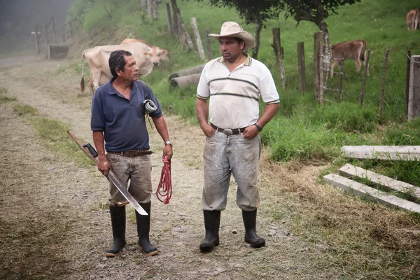 Knappe mannelijke ranch handen in costa rica — Stockfoto