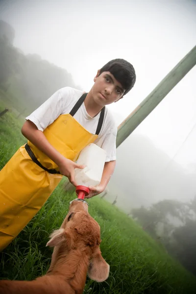 Jovem trabalhando na fazenda leiteira da Costa Rica — Fotografia de Stock