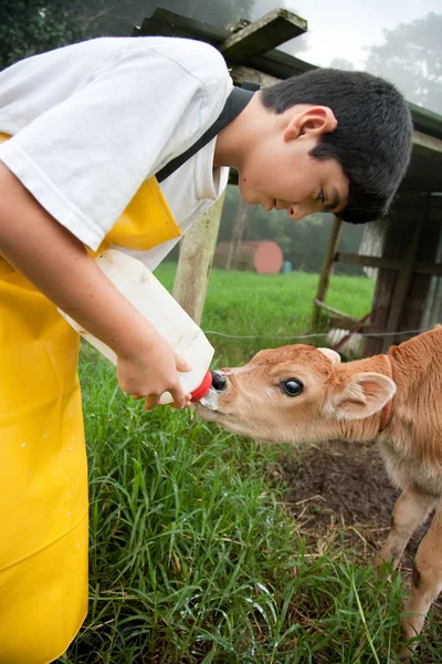 Мальчик, работающий на молочной ферме в Коста-Рике — стоковое фото