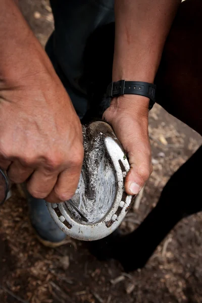 Primo piano di un uomo che pulisce un ferro di cavallo — Foto Stock